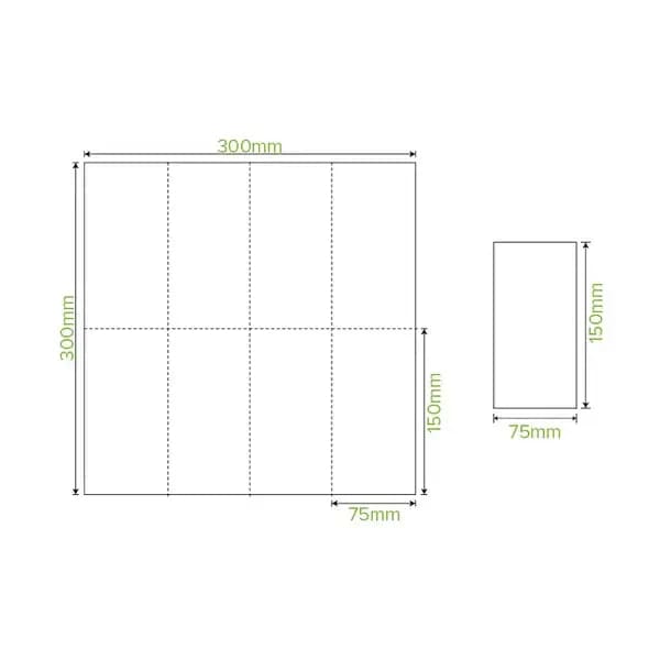 BioPak 1 Ply 1/8 Fold Lunch Napkin - White - Carton - Philip Moore Cleaning Supplies Christchurch